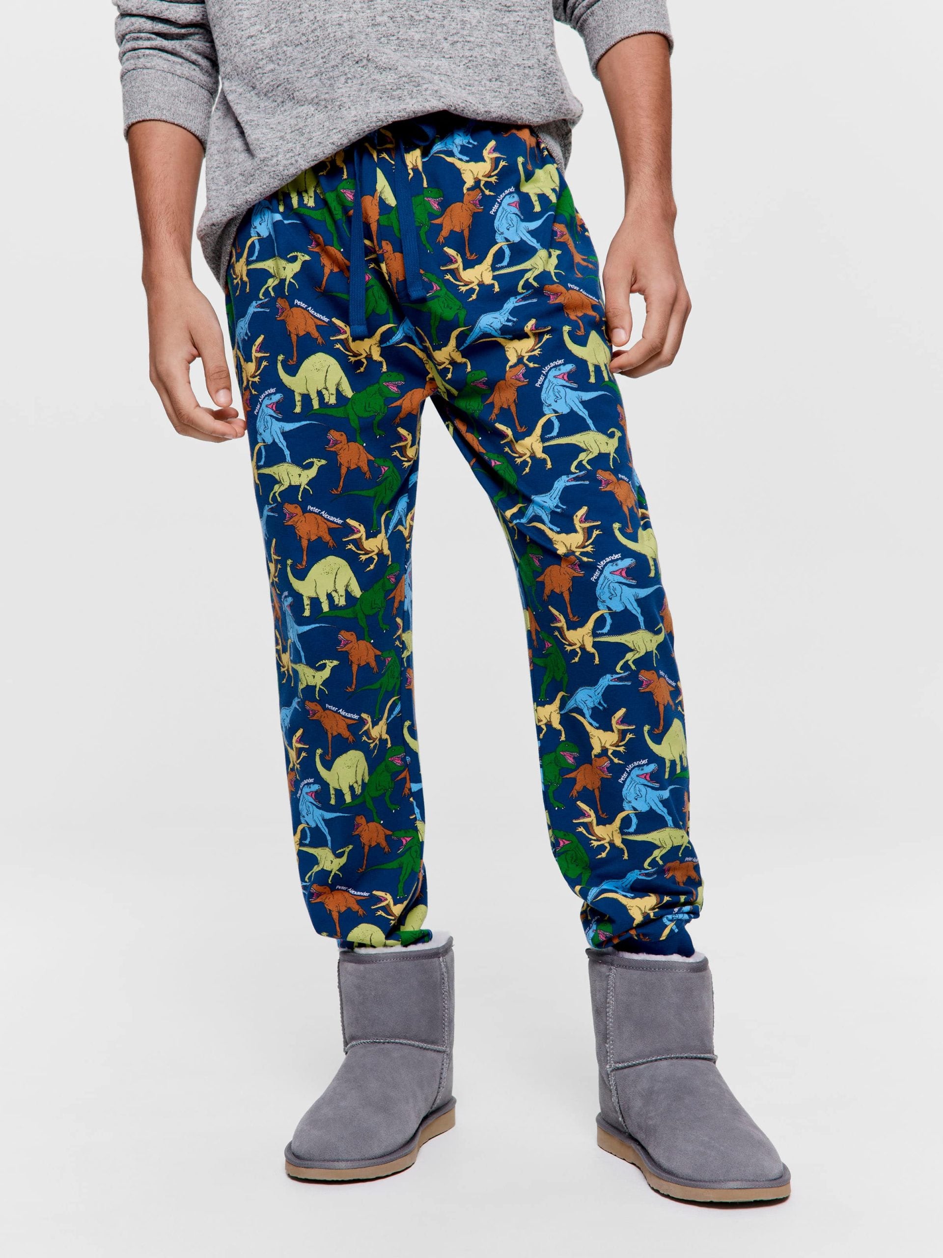 Dino Jogger Pj Pant multi