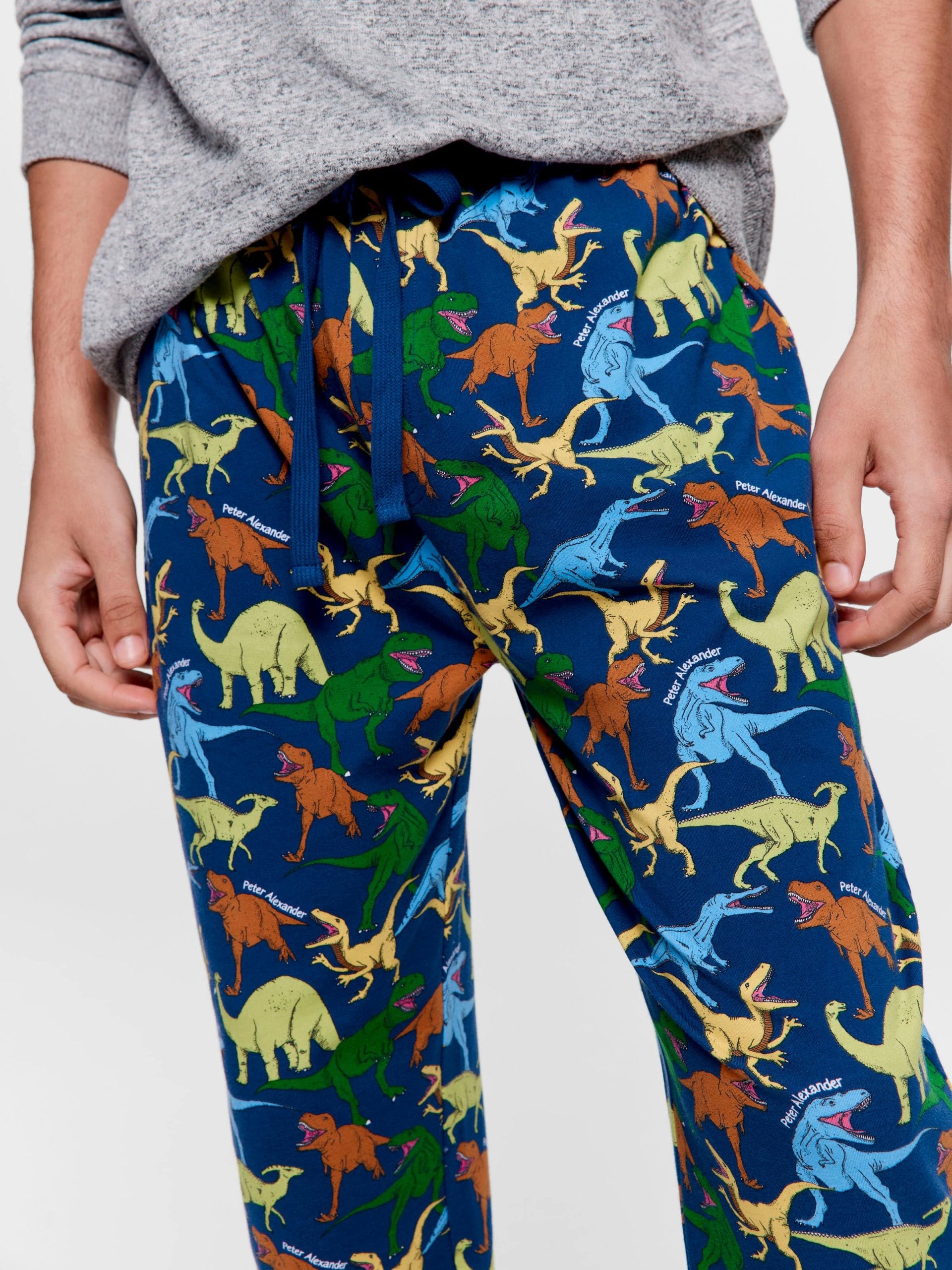 Dino Jogger Pj Pant multi