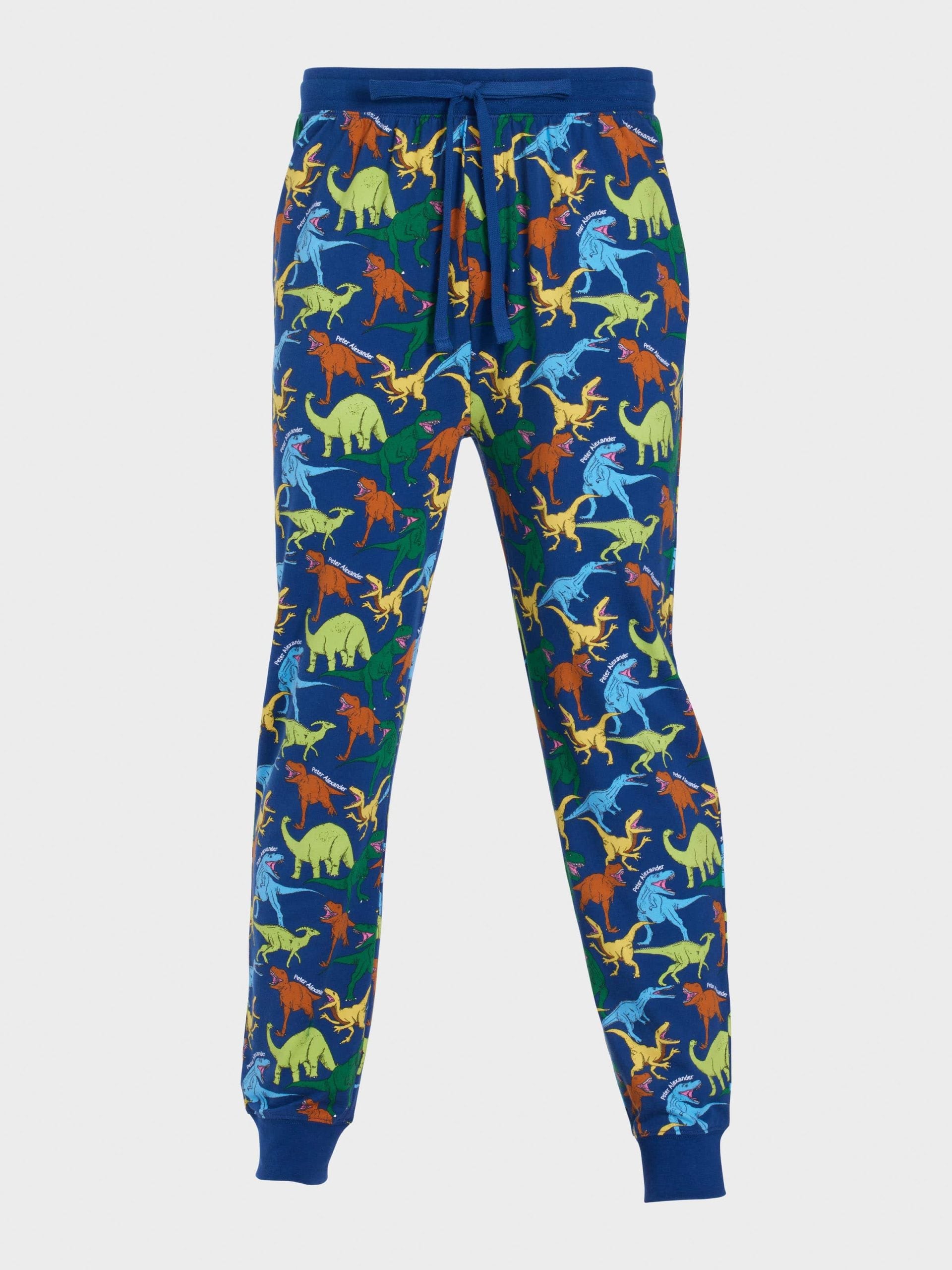 Dino Jogger Pj Pant multi