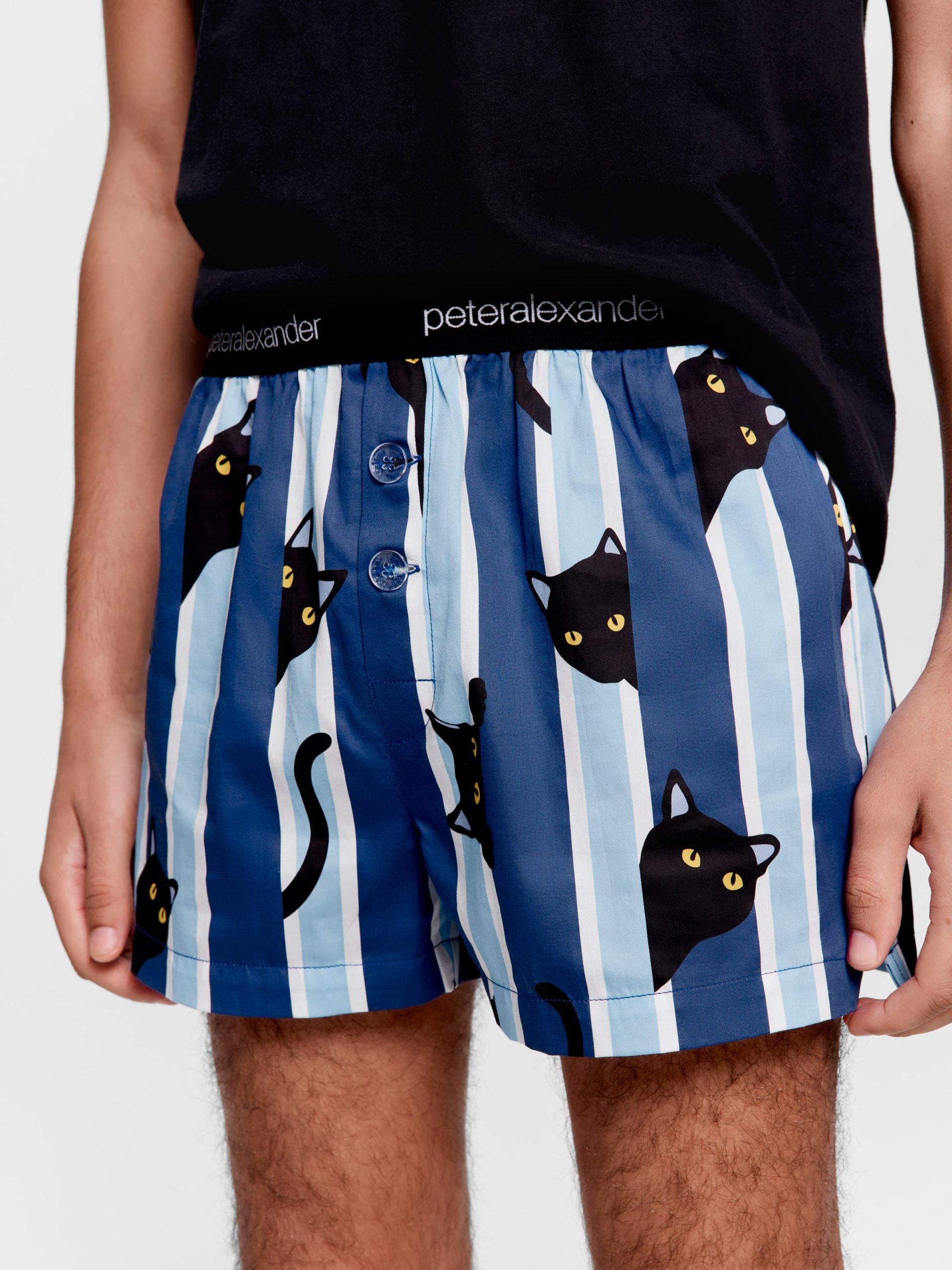 Sneaky Cat Boxer Short multi